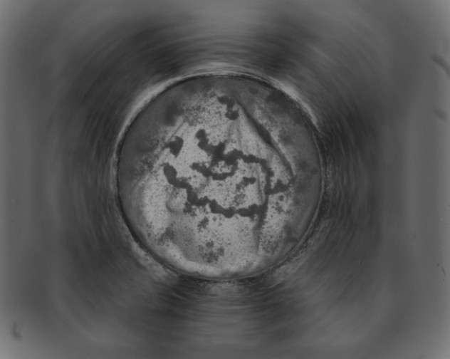 X0000091361421200709071252