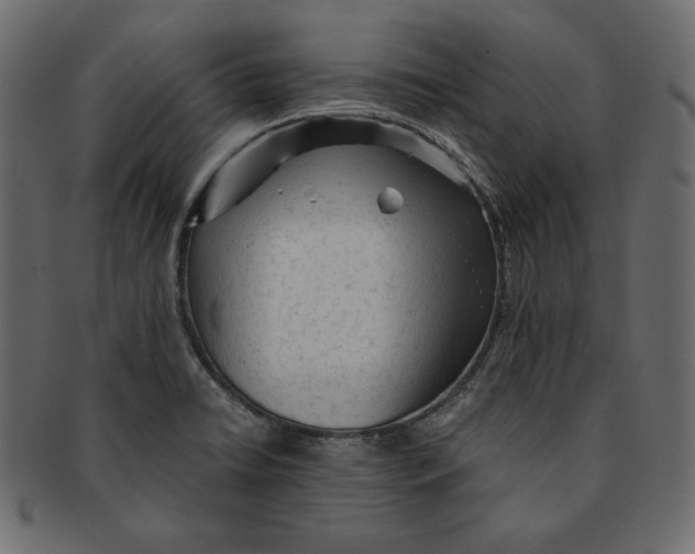 X0000091361422200709071252