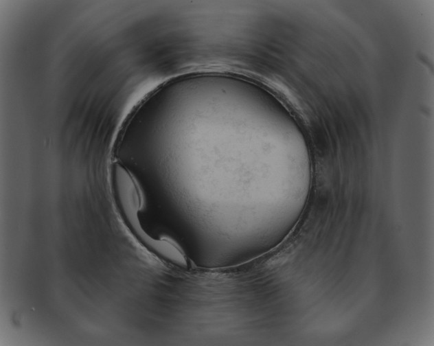 X0000091361424200709071252