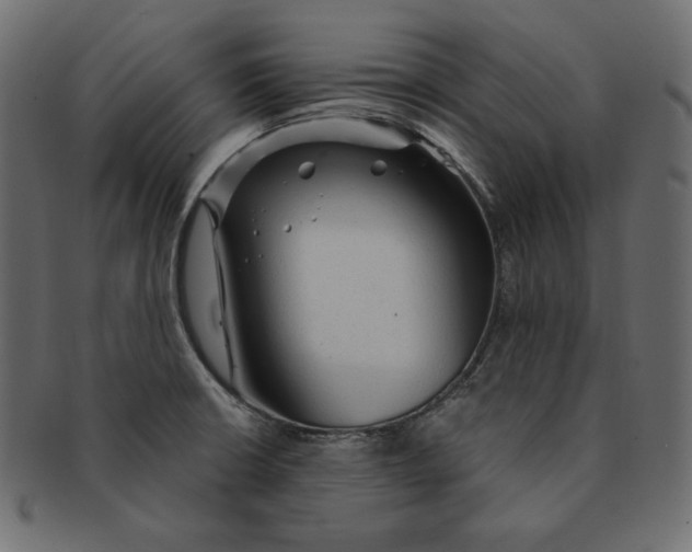 X0000091361426200709071252