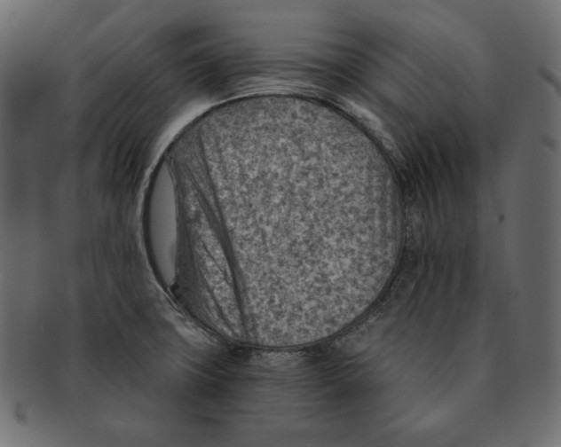 X0000091361427200709071252