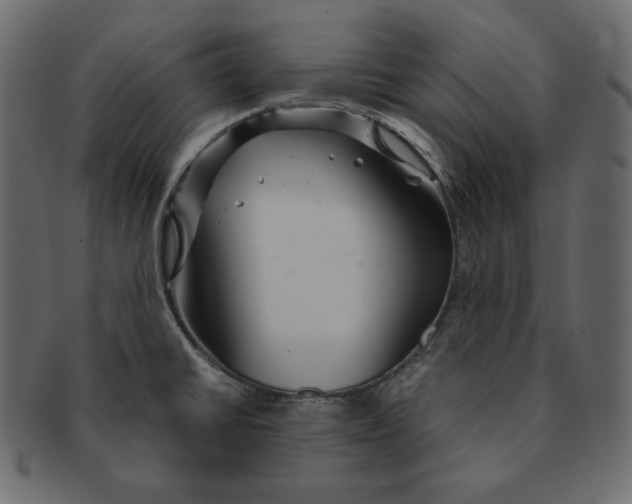 X0000091361430200709071252