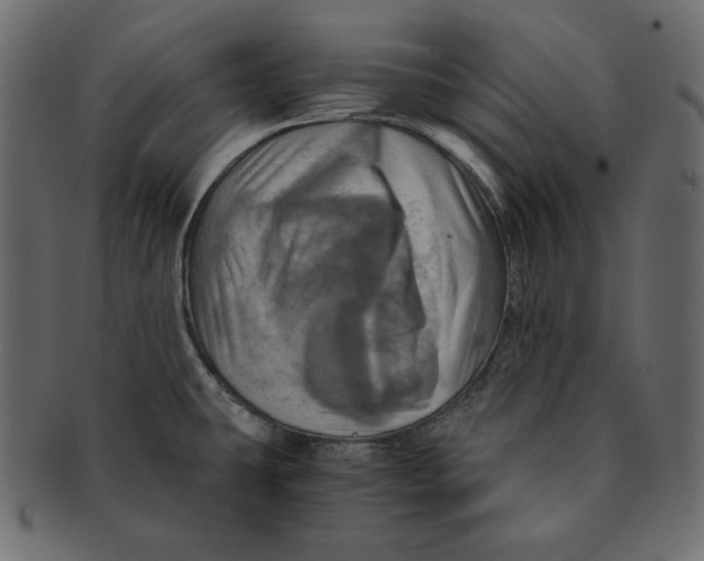 X0000091361431200709071252