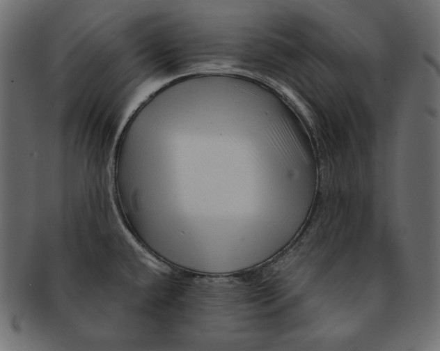 X0000091361432200709071252