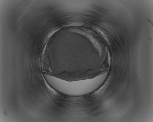 X0000091361433200709071253