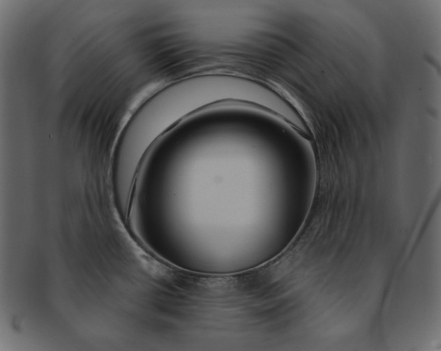X0000091361434200709071253