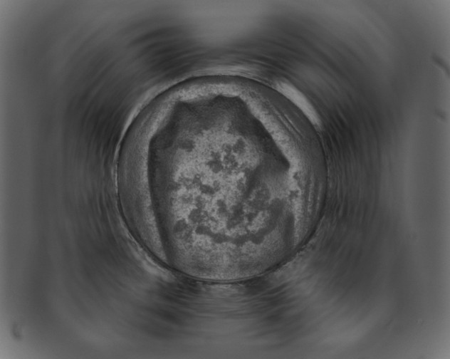 X0000091361436200709071253