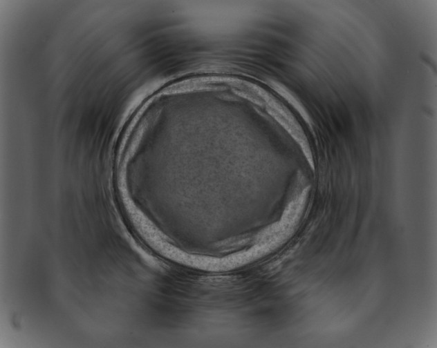 X0000091361437200709071253