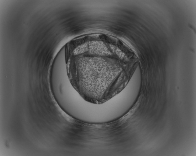 X0000091361438200709071253