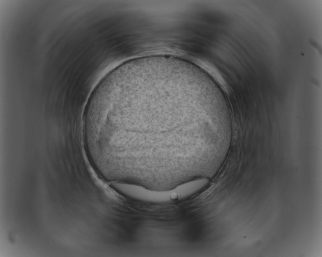 X0000091361439200709071253