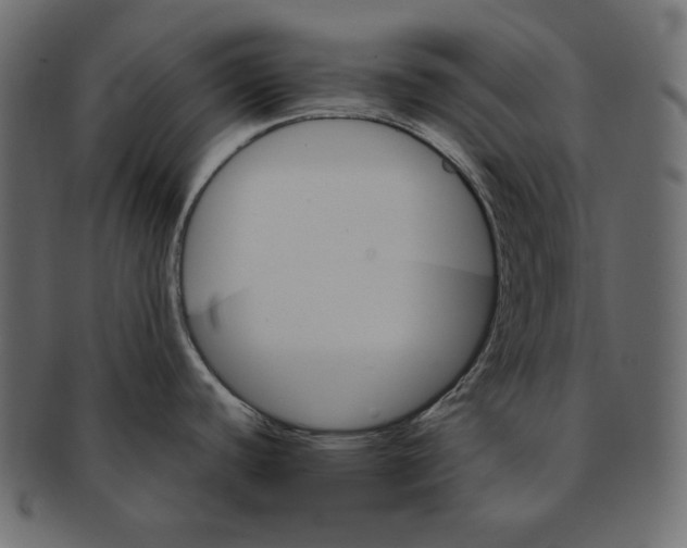 X0000091361440200709071253