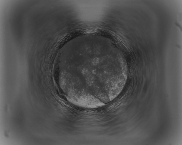 X0000091361441200709071252