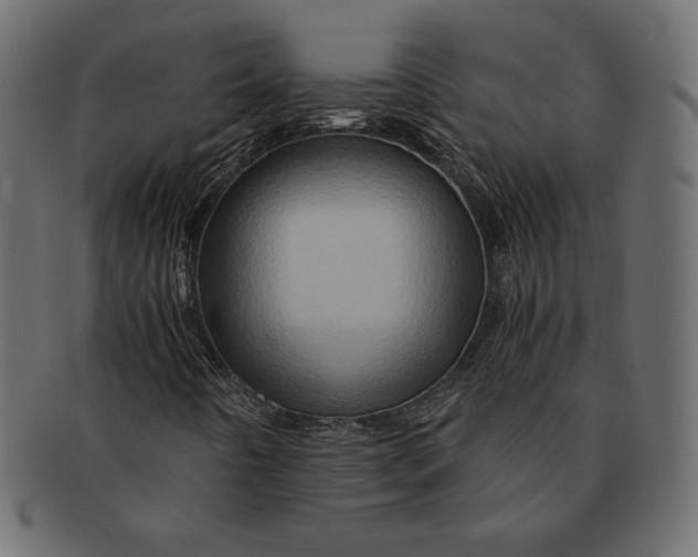 X0000091361442200709071252