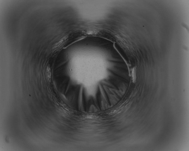 X0000091361443200709071252