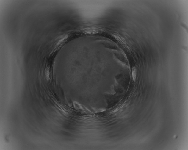 X0000091361444200709071252