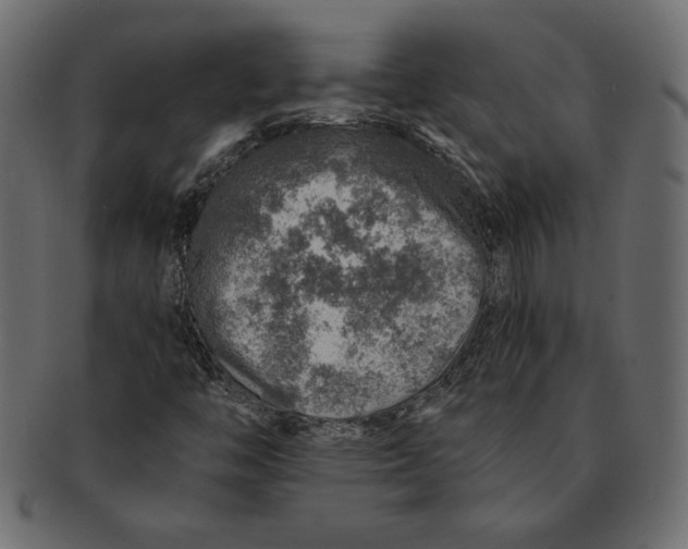 X0000091361446200709071252