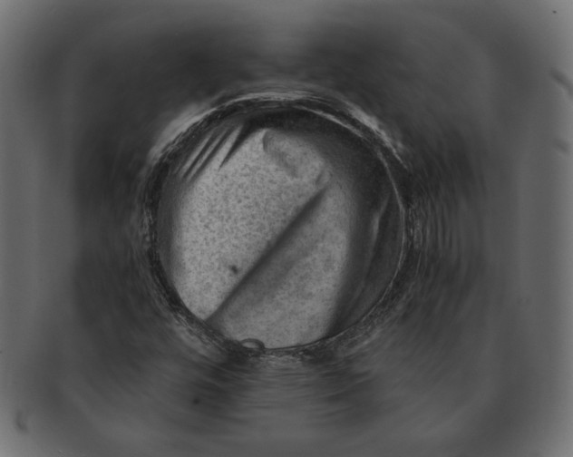 X0000091361448200709071252