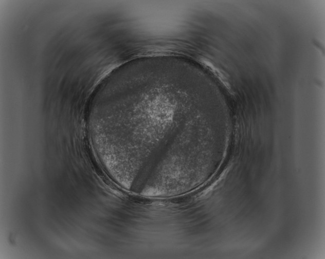 X0000091361449200709071252