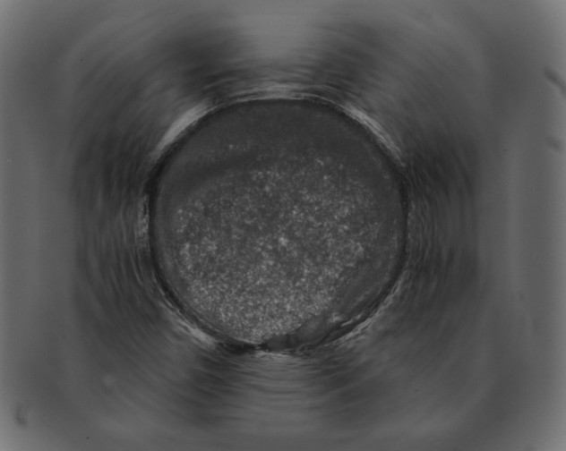 X0000091361450200709071252