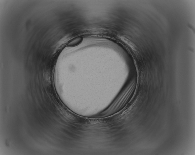 X0000091361451200709071252