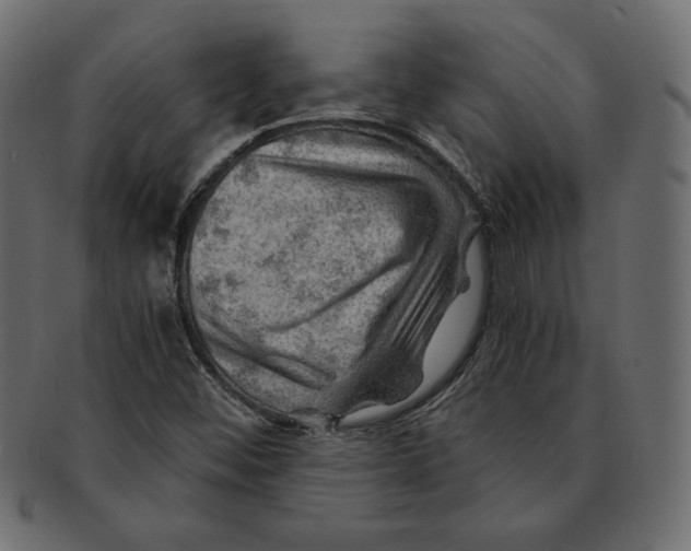X0000091361452200709071252