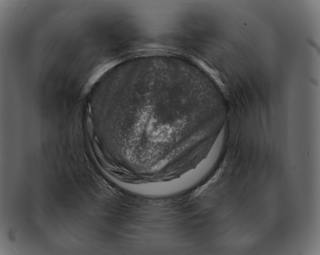 X0000091361453200709071252