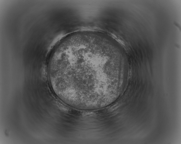 X0000091361454200709071252