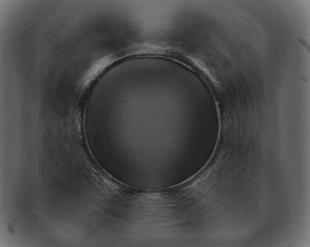 X0000091361455200709071252