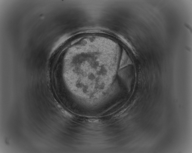 X0000091361456200709071252