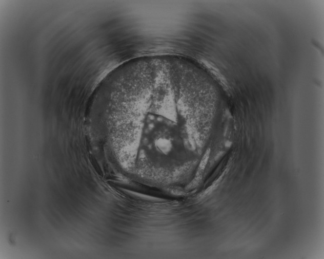 X0000091361457200709071252