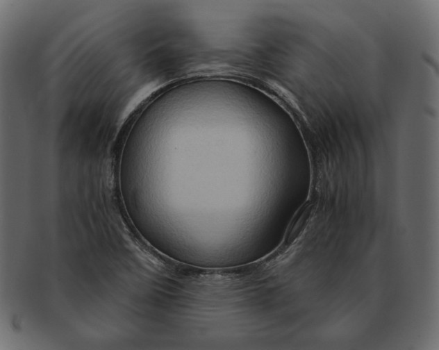 X0000091361458200709071252