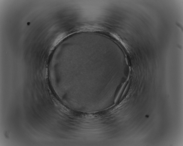 X0000091361459200709071252