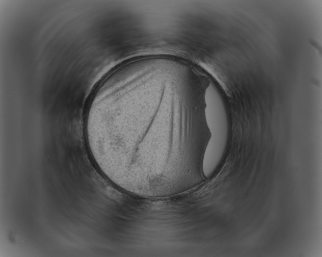 X0000091361460200709071252