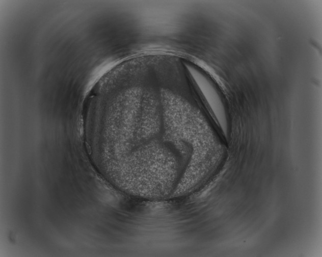 X0000091361461200709071252