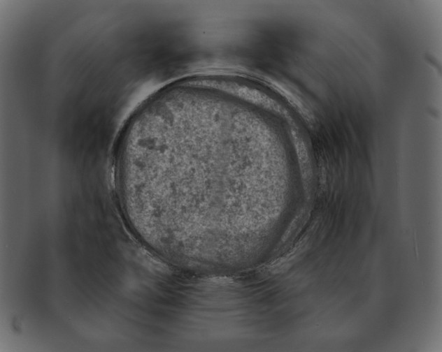 X0000091361462200709071252