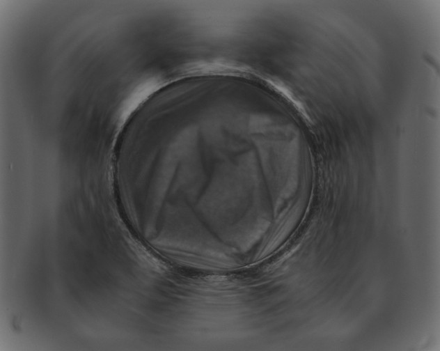 X0000091361463200709071252