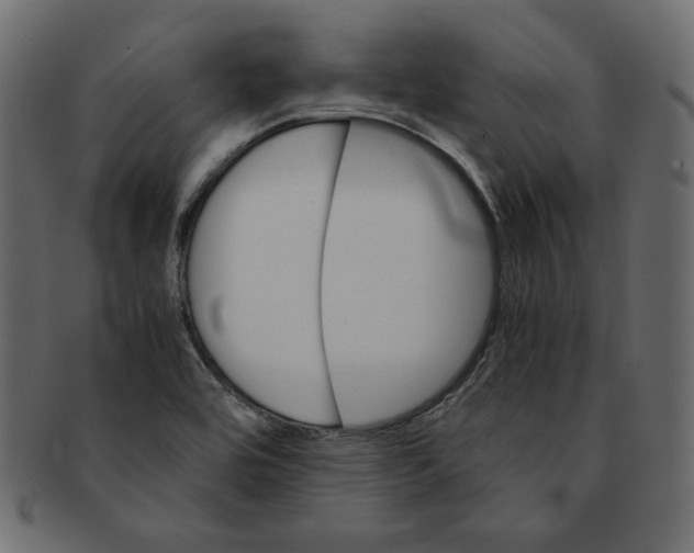 X0000091361464200709071252