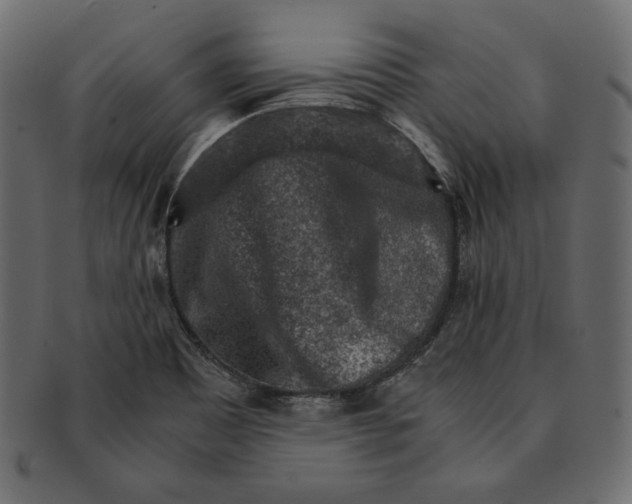 X0000091361465200709071252