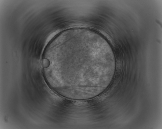 X0000091361466200709071252