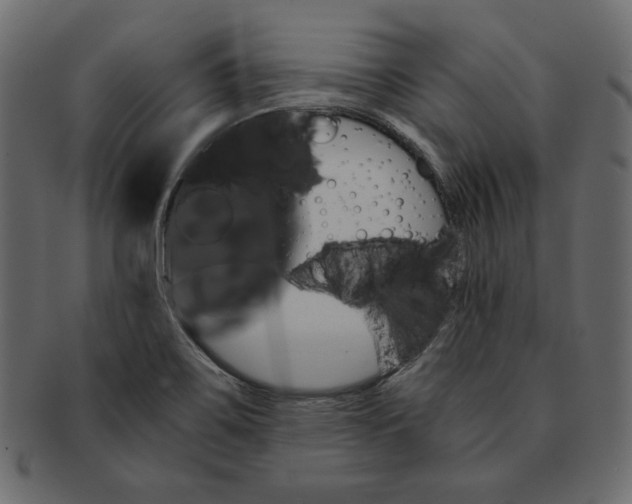 X0000091361467200709071252