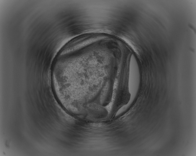 X0000091361468200709071252