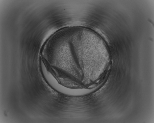 X0000091361469200709071252