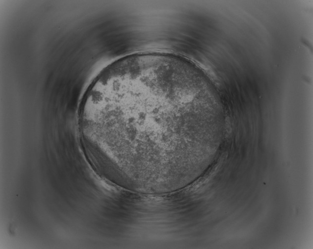 X0000091361470200709071252