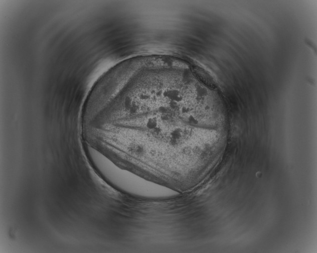 X0000091361471200709071252