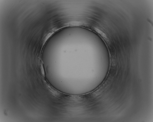 X0000091361473200709071252