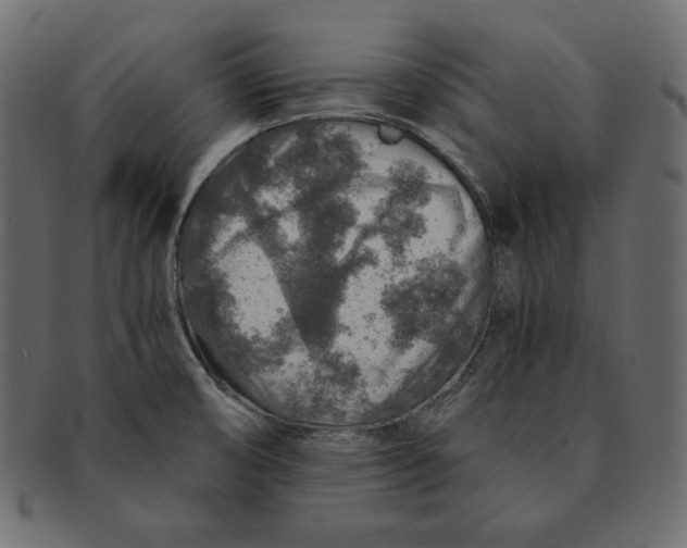 X0000091361474200709071252