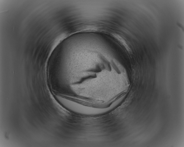 X0000091361475200709071251