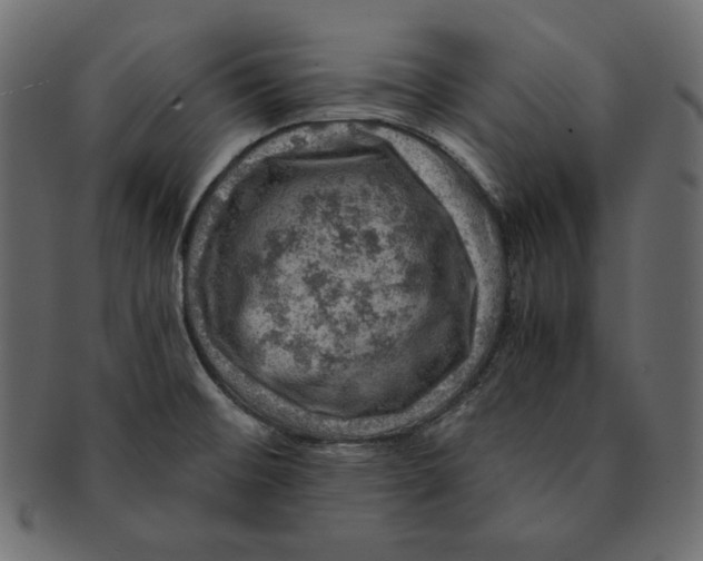 X0000091361476200709071251
