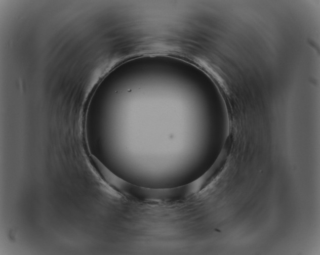 X0000091361477200709071251
