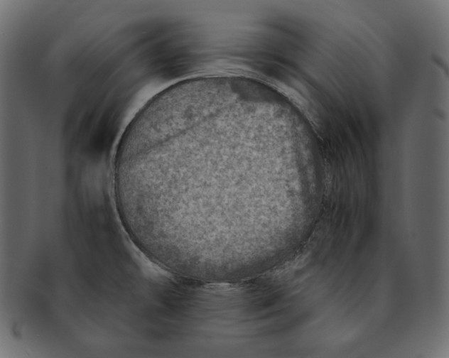 X0000091361478200709071251